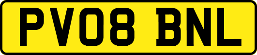 PV08BNL