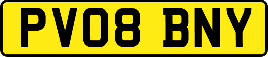 PV08BNY
