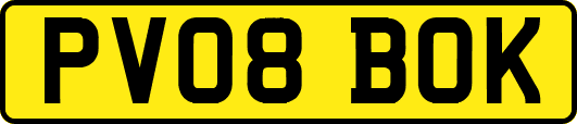 PV08BOK