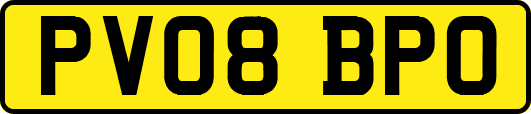 PV08BPO
