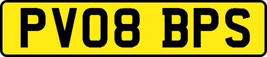 PV08BPS