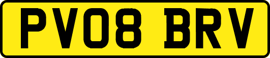PV08BRV