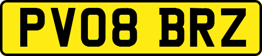 PV08BRZ