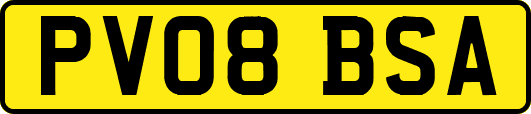 PV08BSA