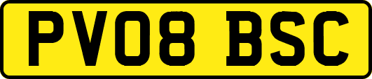 PV08BSC