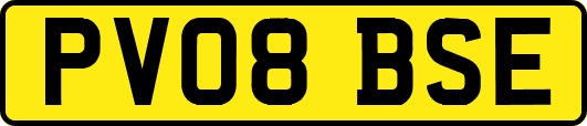 PV08BSE