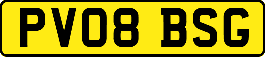 PV08BSG