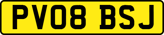 PV08BSJ