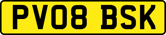 PV08BSK
