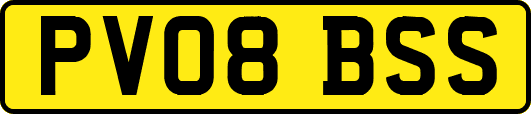 PV08BSS