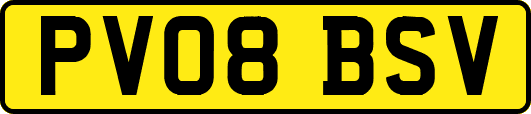 PV08BSV