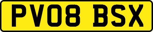 PV08BSX