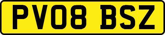 PV08BSZ