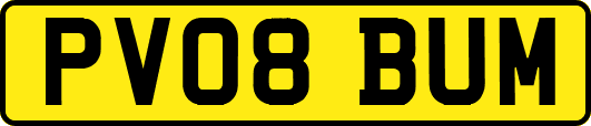 PV08BUM