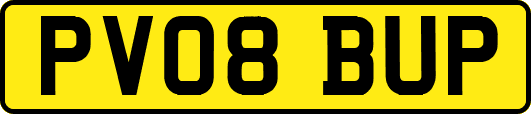 PV08BUP