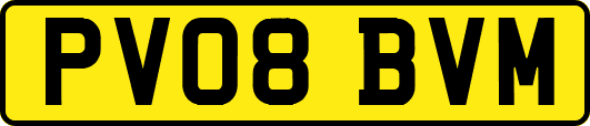 PV08BVM