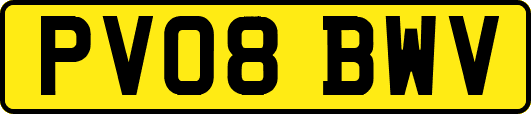 PV08BWV
