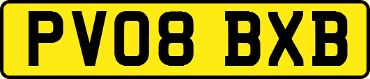 PV08BXB
