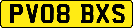PV08BXS