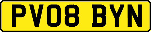 PV08BYN