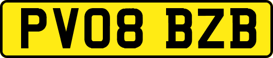 PV08BZB