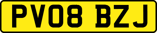 PV08BZJ
