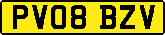 PV08BZV