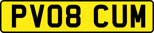 PV08CUM