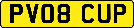 PV08CUP