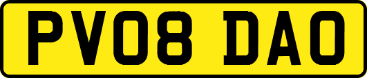 PV08DAO