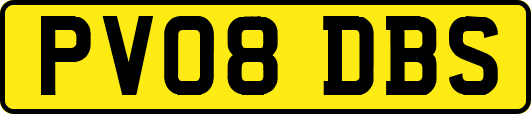 PV08DBS