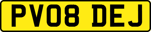 PV08DEJ