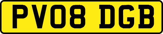 PV08DGB