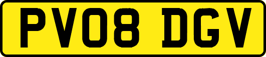PV08DGV