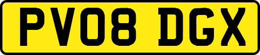 PV08DGX