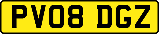 PV08DGZ