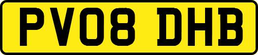 PV08DHB