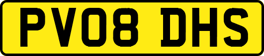 PV08DHS