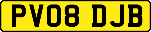 PV08DJB