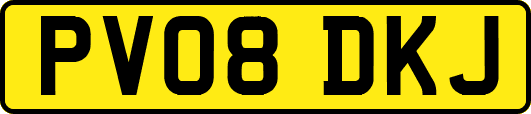 PV08DKJ