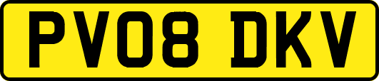 PV08DKV