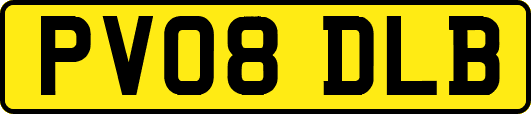 PV08DLB