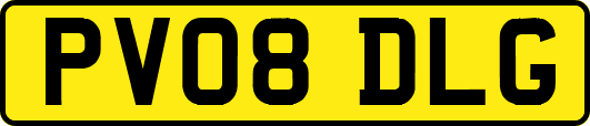 PV08DLG