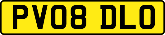 PV08DLO