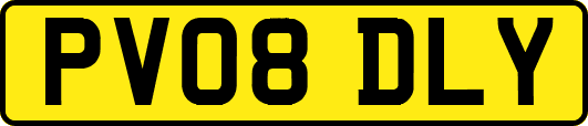 PV08DLY