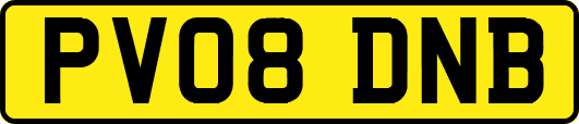 PV08DNB