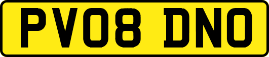 PV08DNO
