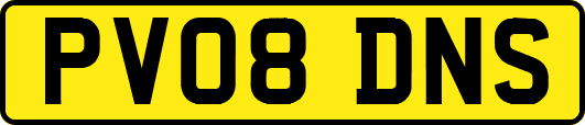 PV08DNS