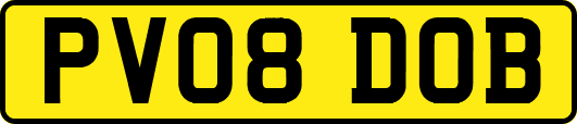 PV08DOB