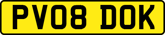 PV08DOK